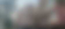 Asset Placid - 2 BHK - 1100 sqft