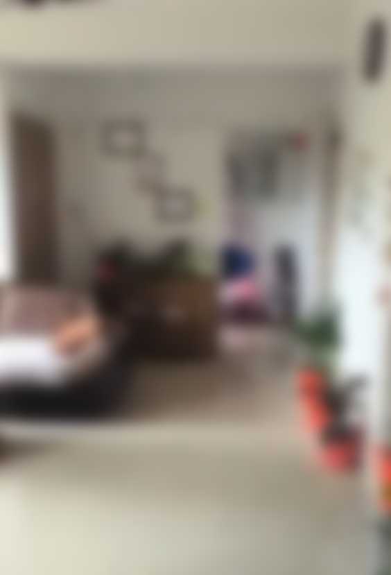 Living Room Living Room