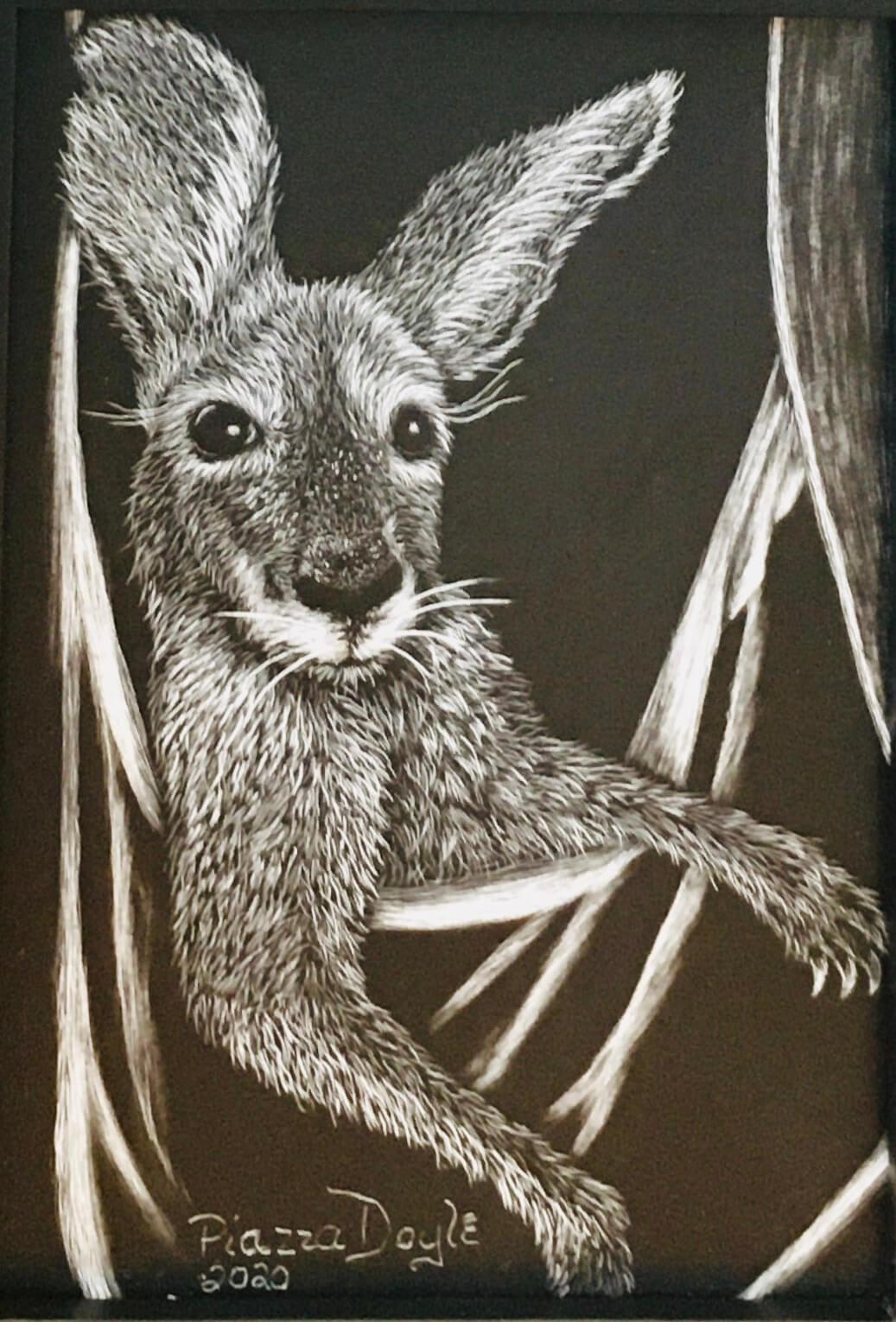 Joey by Esther Piazza Doyle