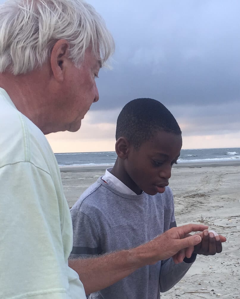 Loggerhead turtle nesting