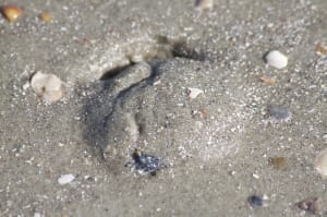 IMG_2764