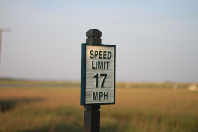 Speed Limit 17 mph? - Dewees Island, Charleston, SC