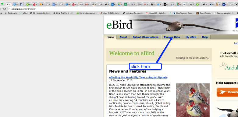 Ebird Sql How to Use Ebird to predict and plan for birding in any location