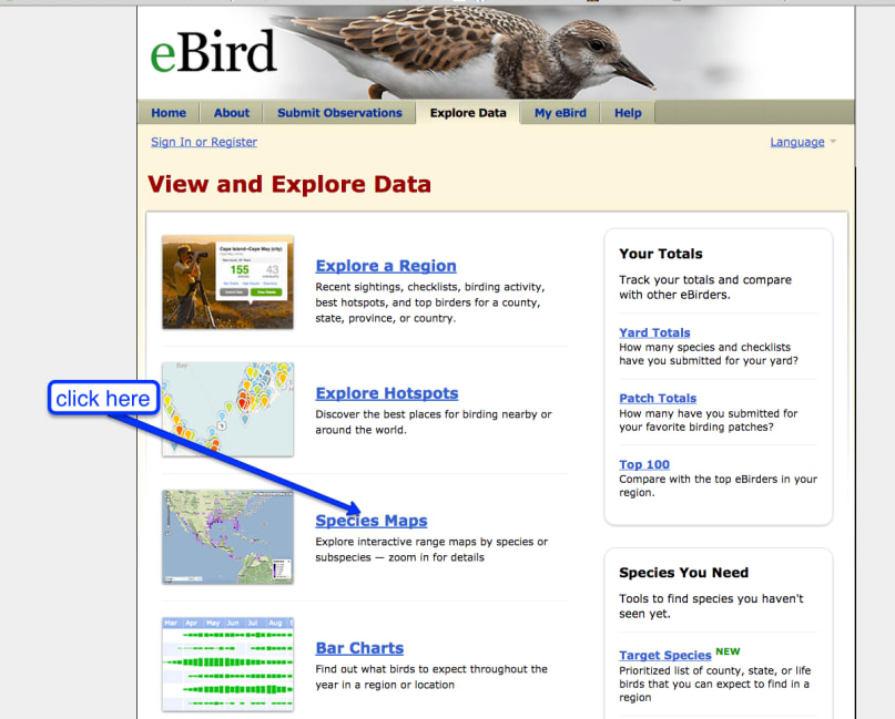 Ebird Guide How to Use Ebird to predict and plan for birding in any location