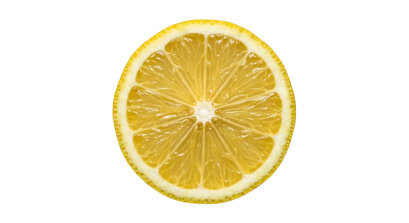 Lemon slice