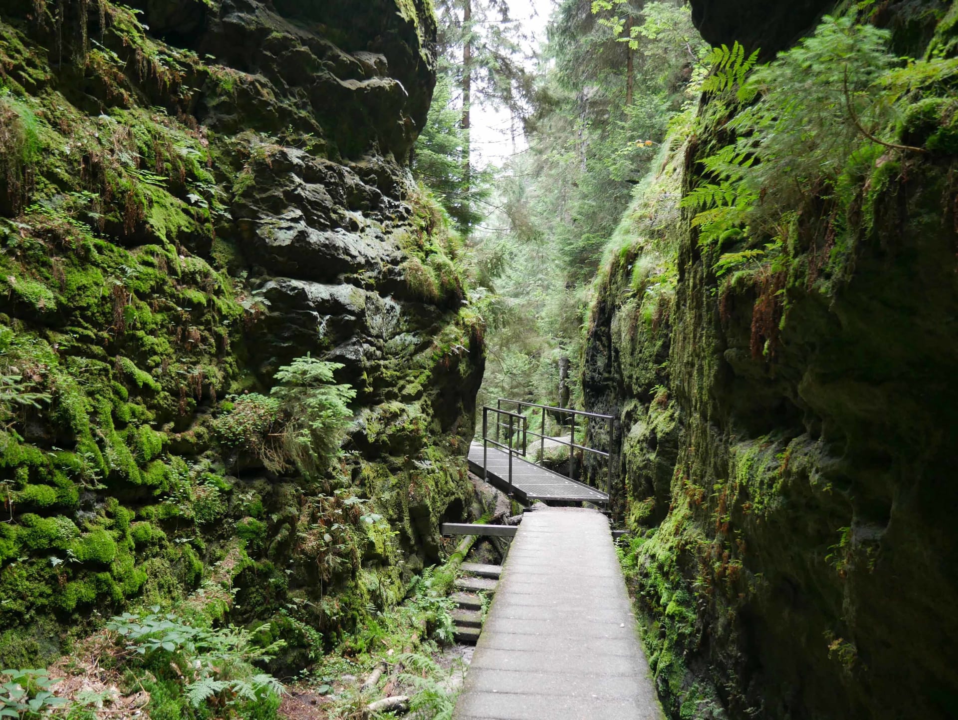 Adobe_Saxon Switzerland_Schwedenlöcher.jpg