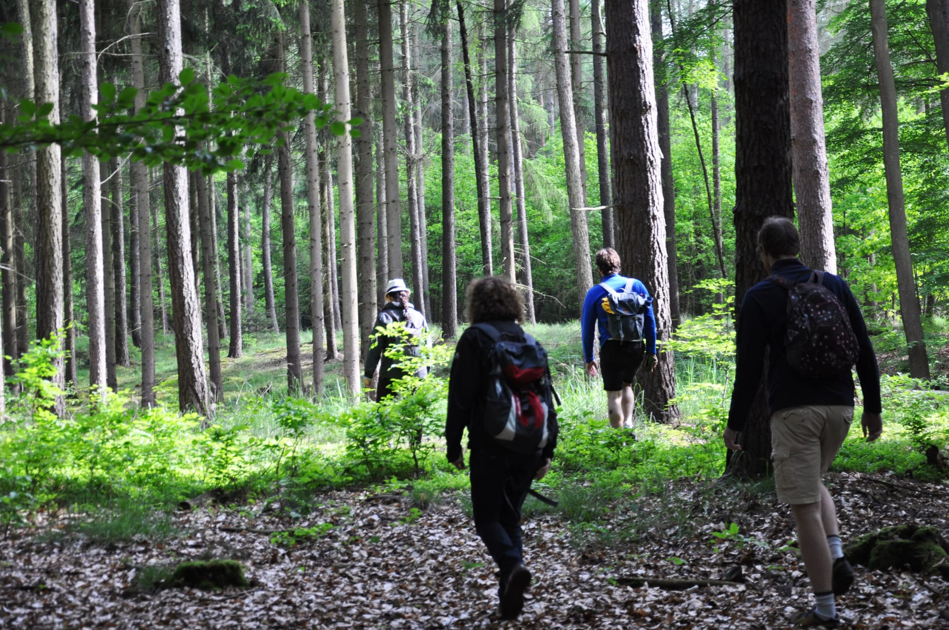 Bogensee_0145 (2).JPG