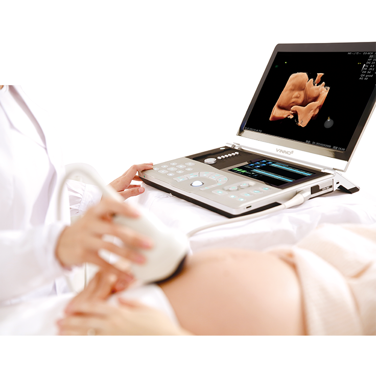 Basic 3D/4D Ultrasound Scanning (ONLINE)