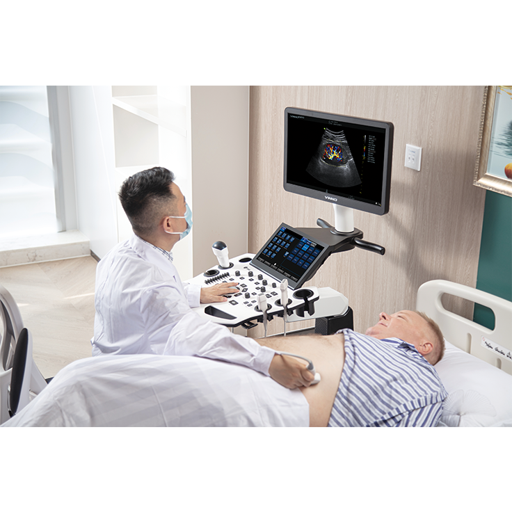 Advanced Abdominal Scanning 