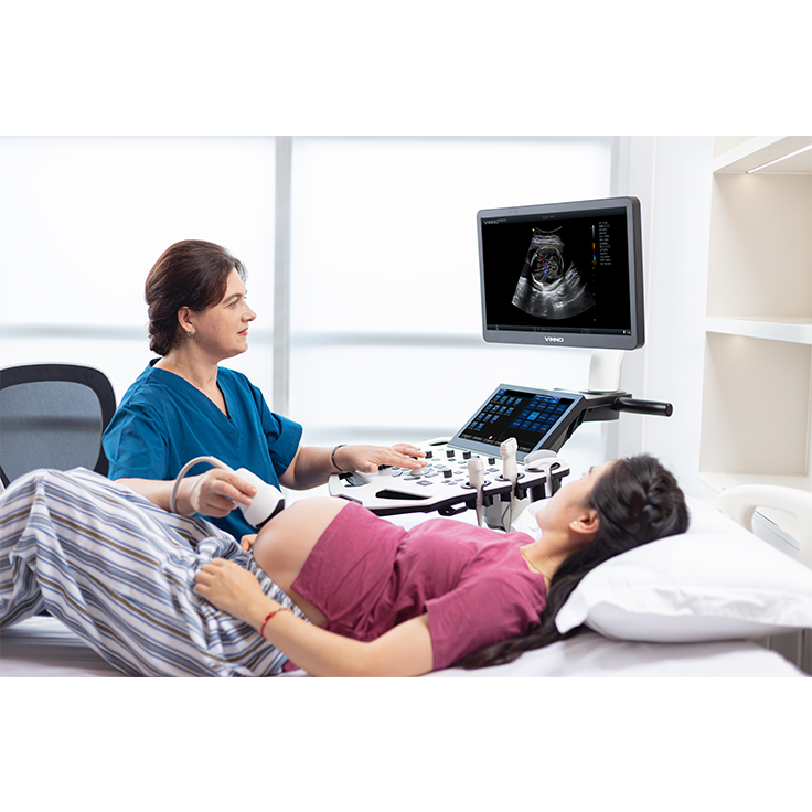 Fetal Anatomy Scanning (Level 2)