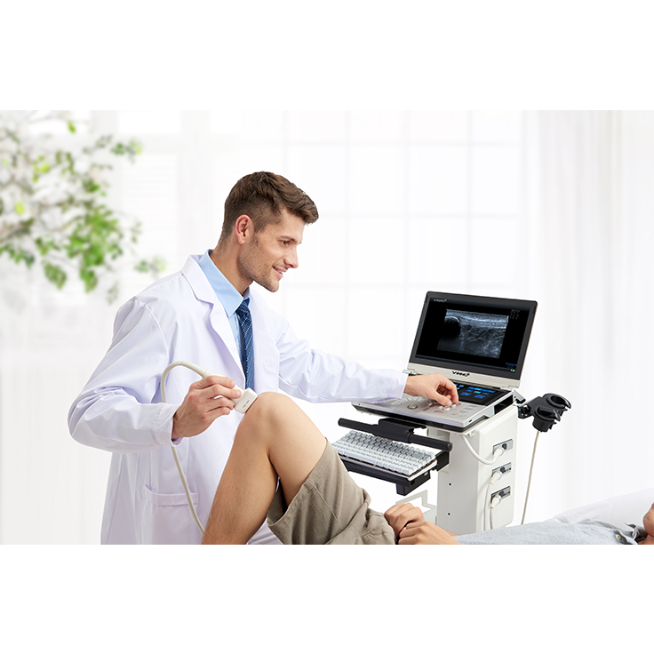 MSK Scanning 2 (Shoulder and Hand)