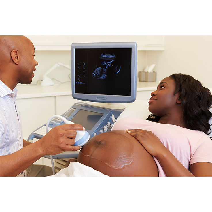 Basic Obstetric Scanning (Level 1)