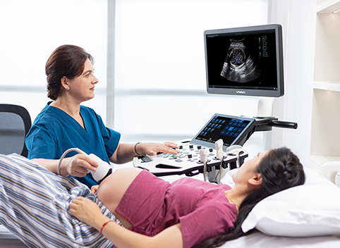 Fetal Anatomy Scanning (Level 2)