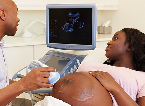 Basic Obstetric Scanning (Level 1)