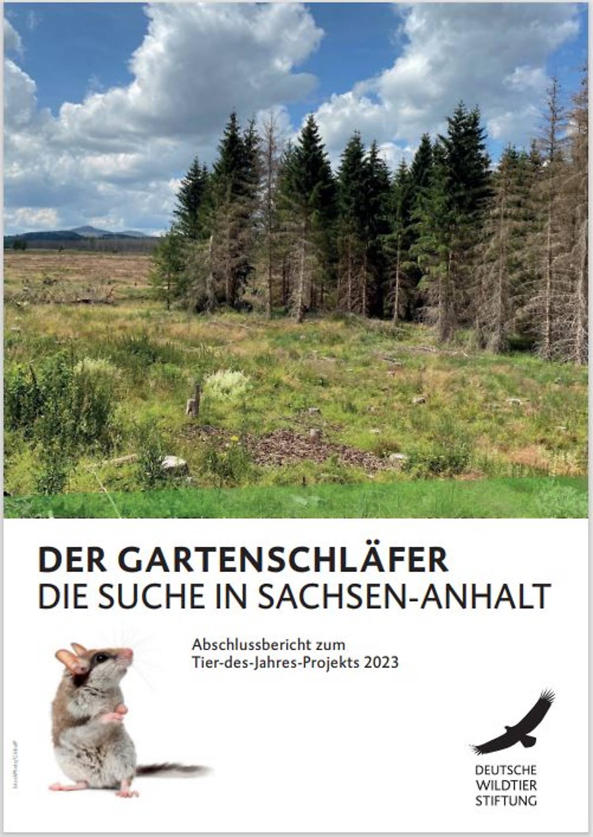 abschlussbericht-zum-tier-des-jahres-projekts-2023_cover-tdj-abschlussbericht-2023