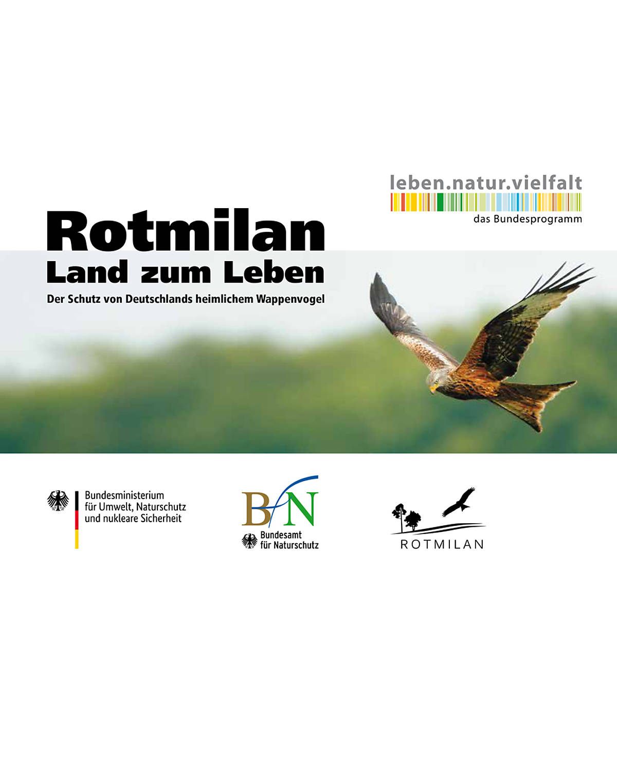 download-der-broschuere-rotmilan-land-zum-leben_cover_broschuere_rotmilan-land-zum-leben_2019-1