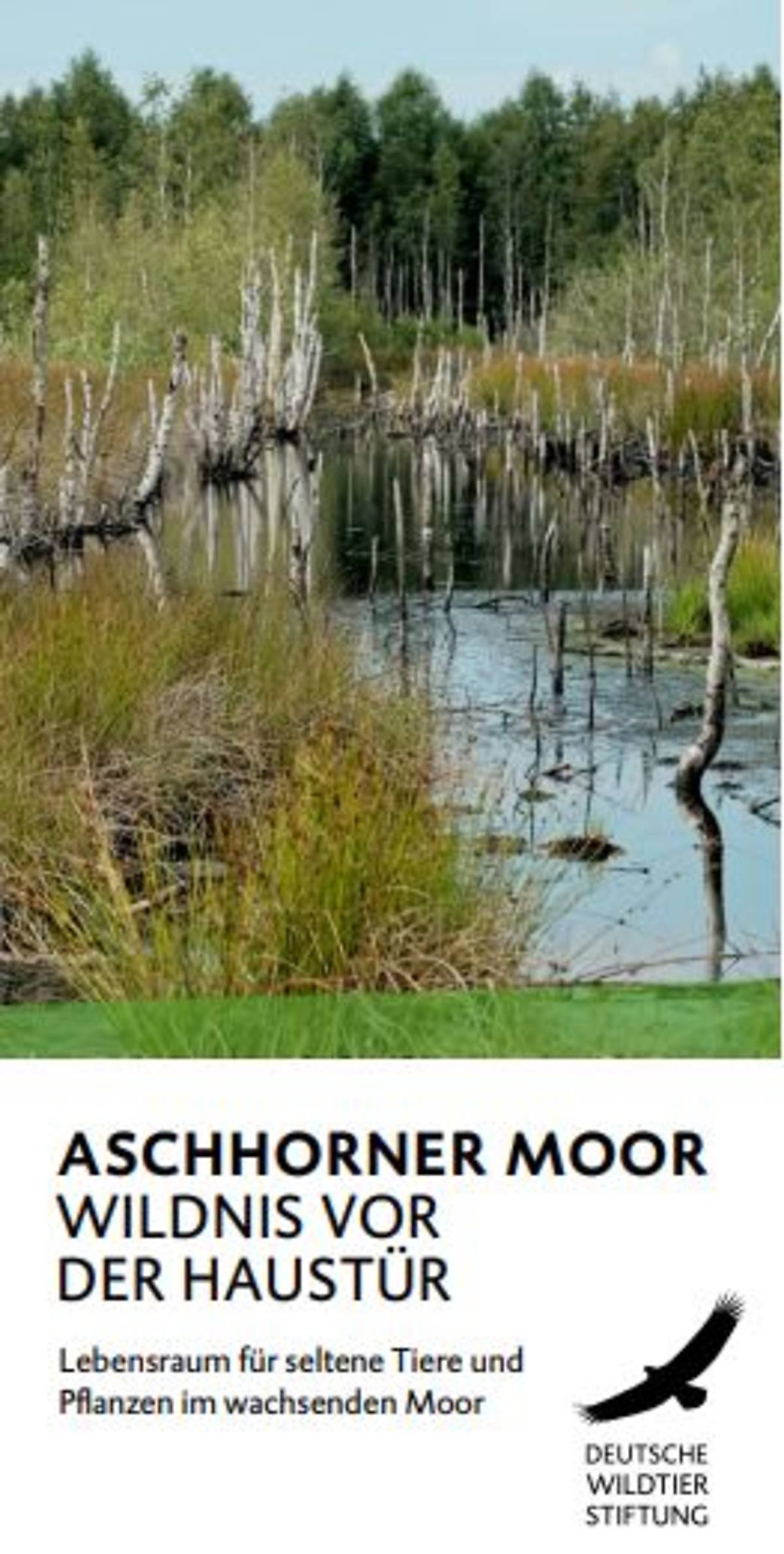 flyer-aschhorner-moor_cover-flayer-aschhorner-moor-2023