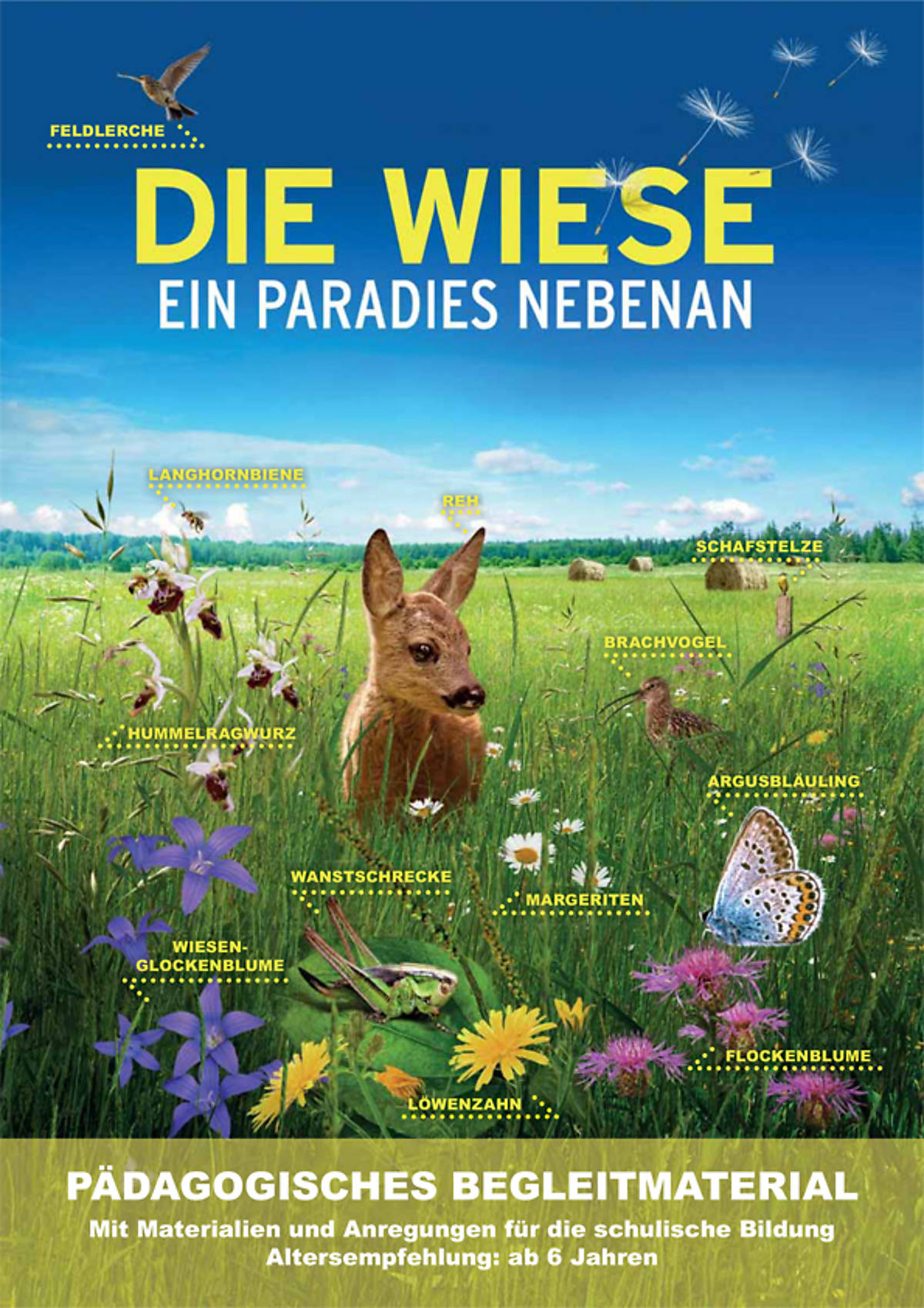 paedagogisches-begleitmaterial_cover_die-wiese_schulmaterial