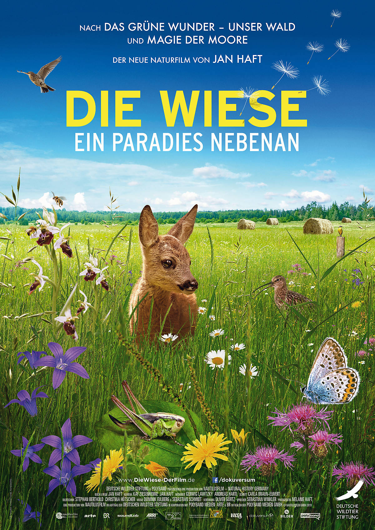 plakat_diewiese_a4_300dpi