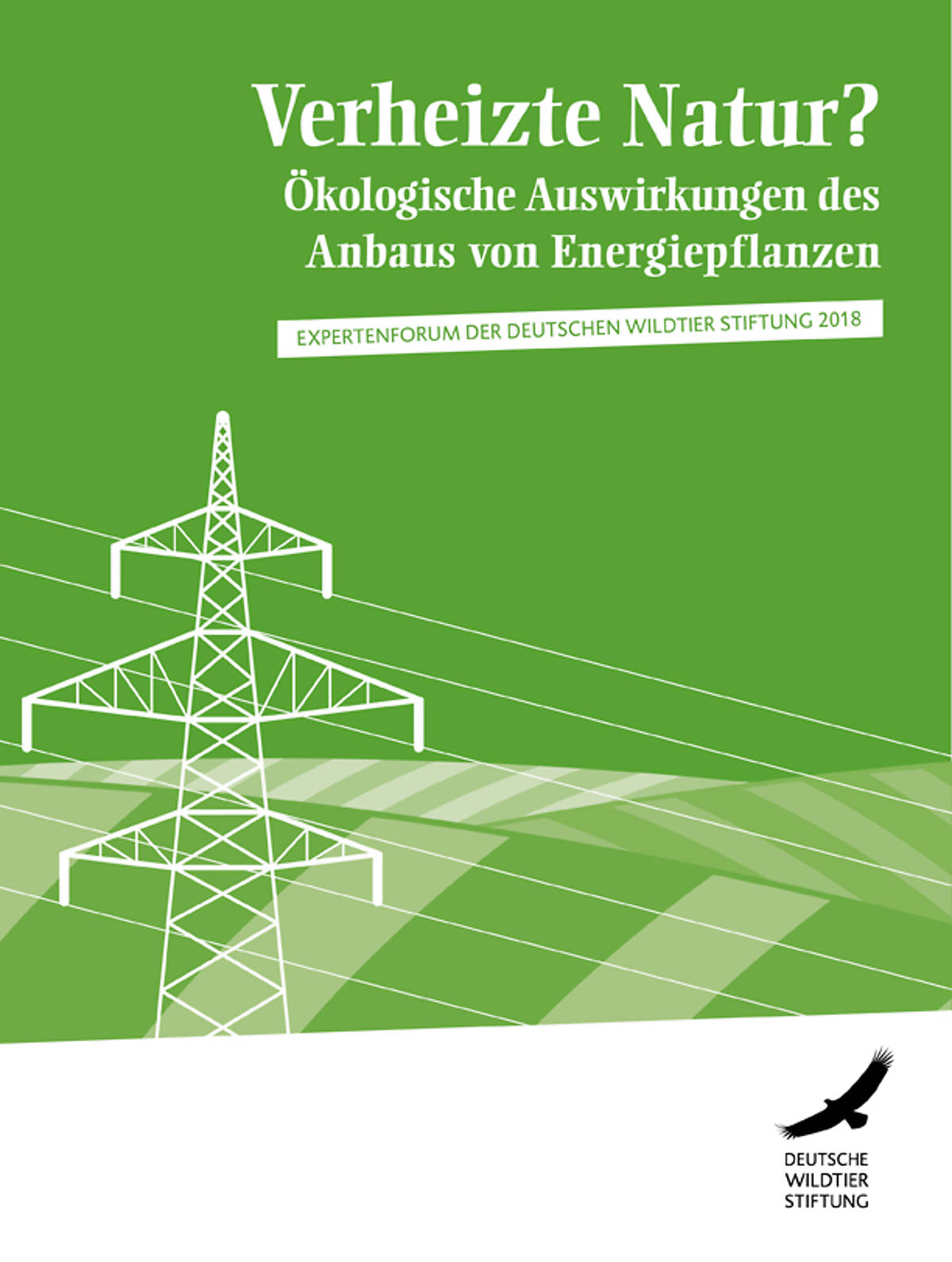 tagungsband-expertenforum-2018_exfo-2018_verheizte-natur_cover