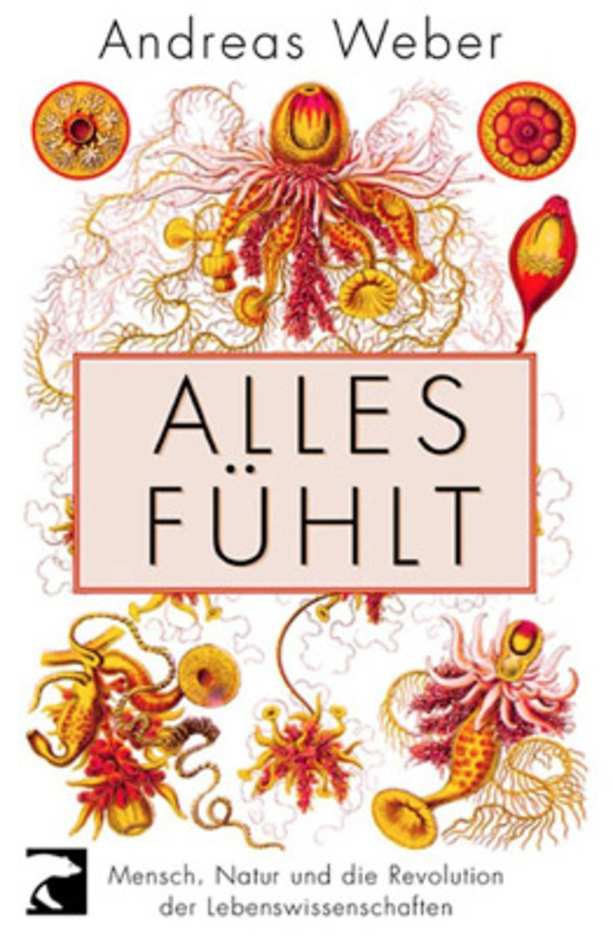 publikationen-von-andreas-weber_andreas-weber-buch-alles-fuehlt