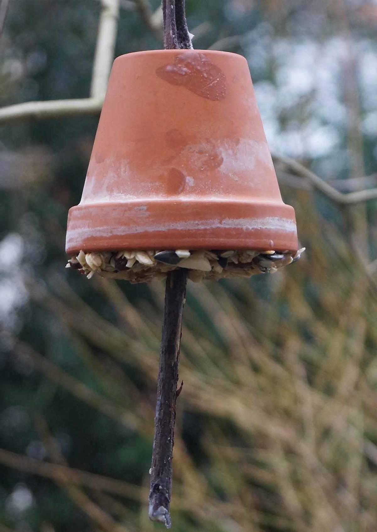 Vogelfutterglocke aus einem Tontopf mit selbstgemachtem Vogelfutter. Foto: Manfred Sattler