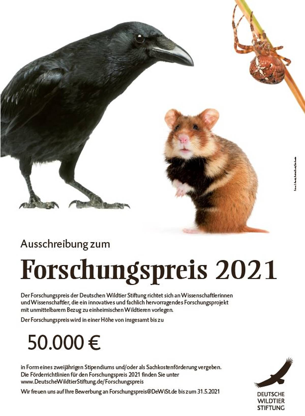 unterlagen-forschungspreis-2021_plakat-bild