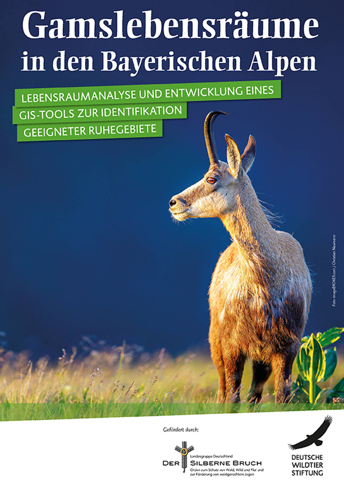 studie-zum-downloaden_cover-studie