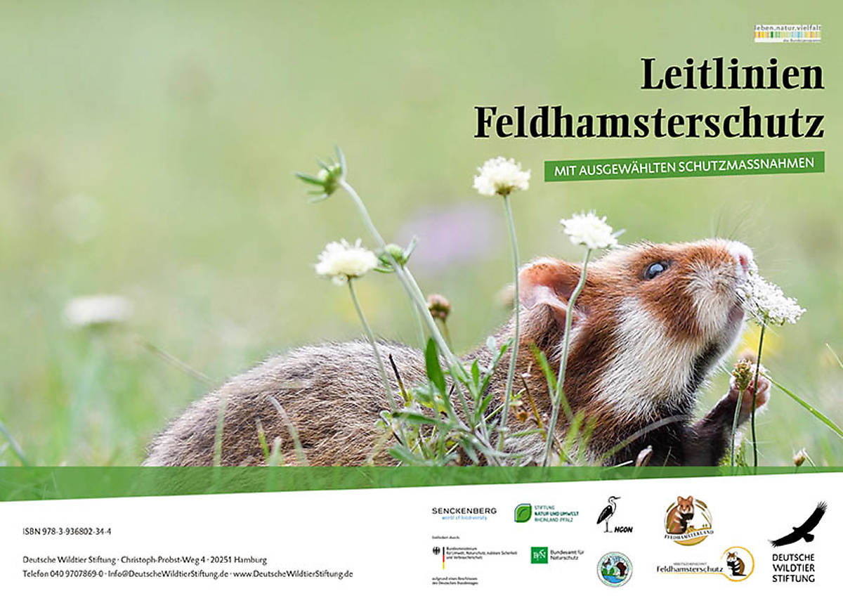 leitfaden-zum-feldhamsterschutz_cover_leitfaden_feldhamsterschutz-1