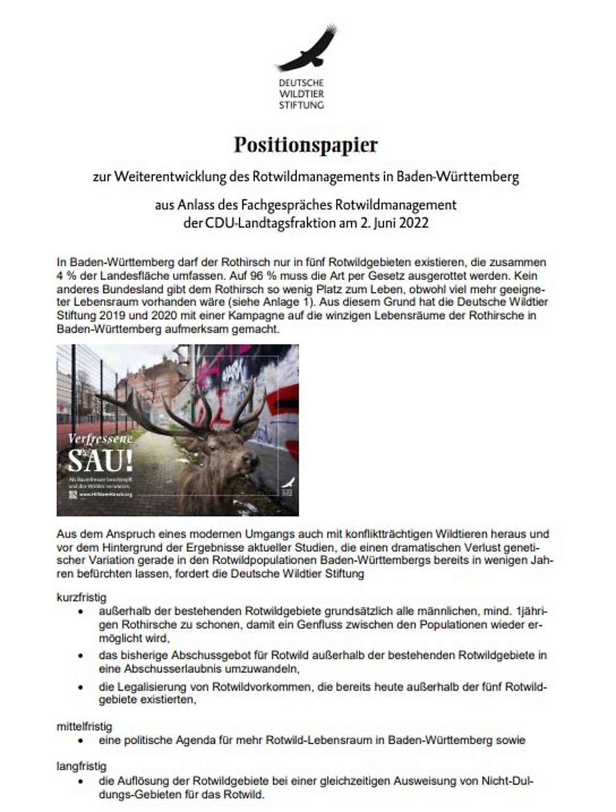 positionspapier_positionspapier-rothirsch