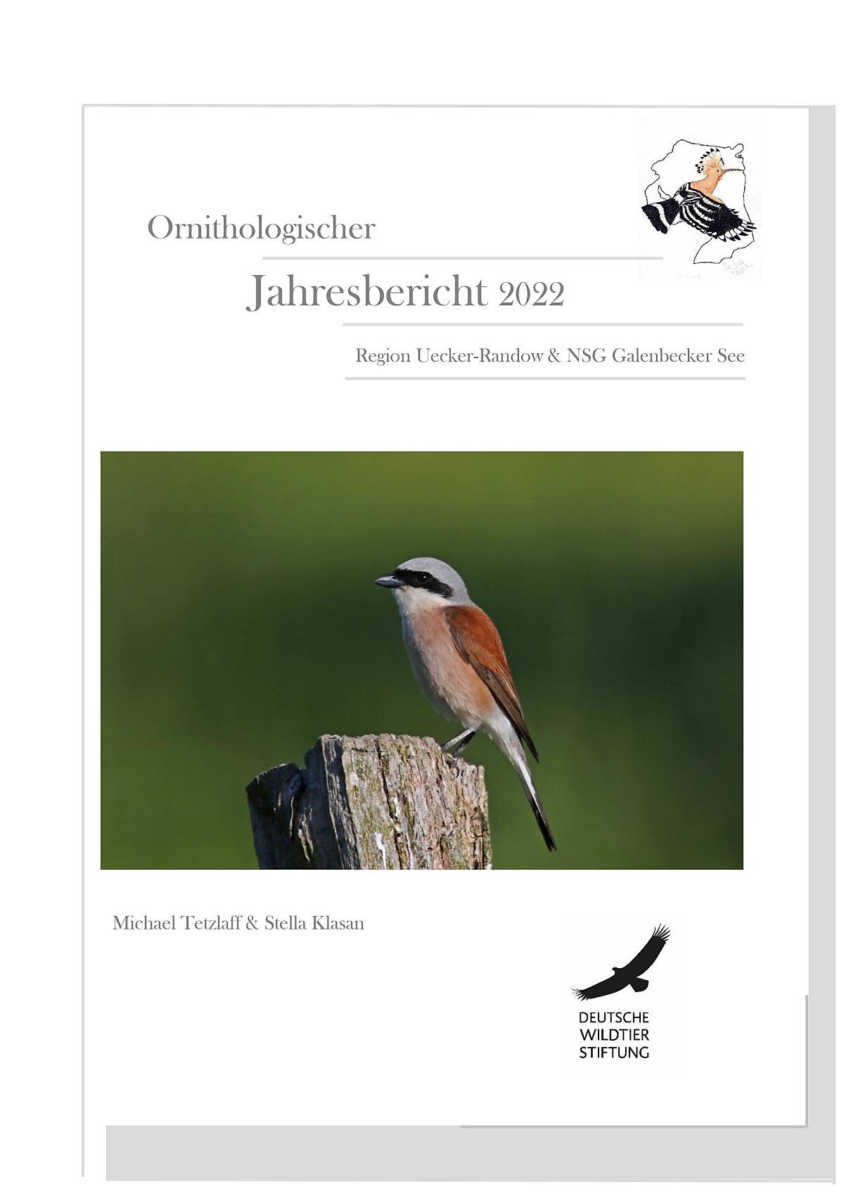 ornithologischer-jahresbericht-2022_cover_bericht-uer_2022