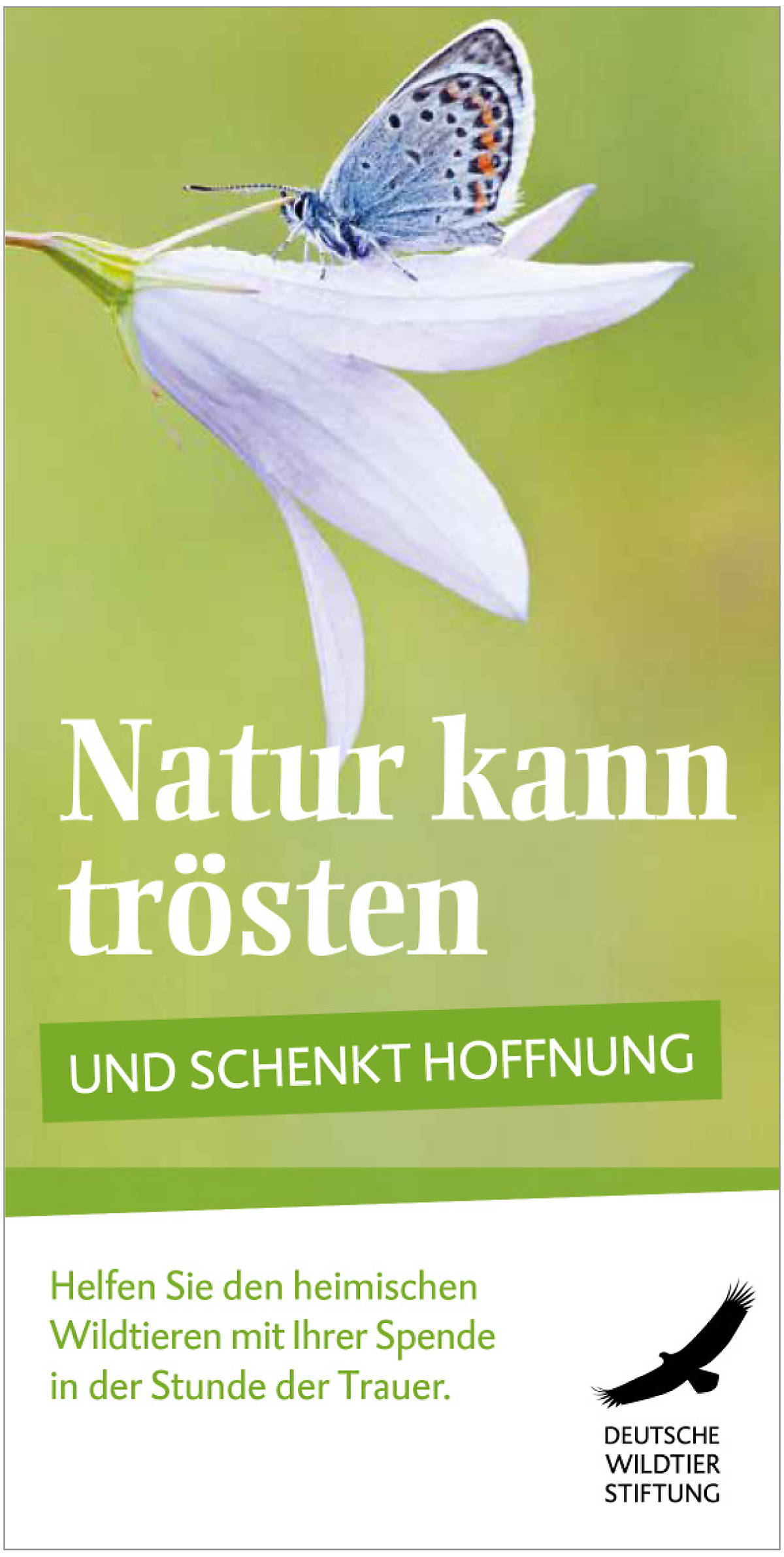 Flyer Anlassspende Trauer - Natur kann trösten