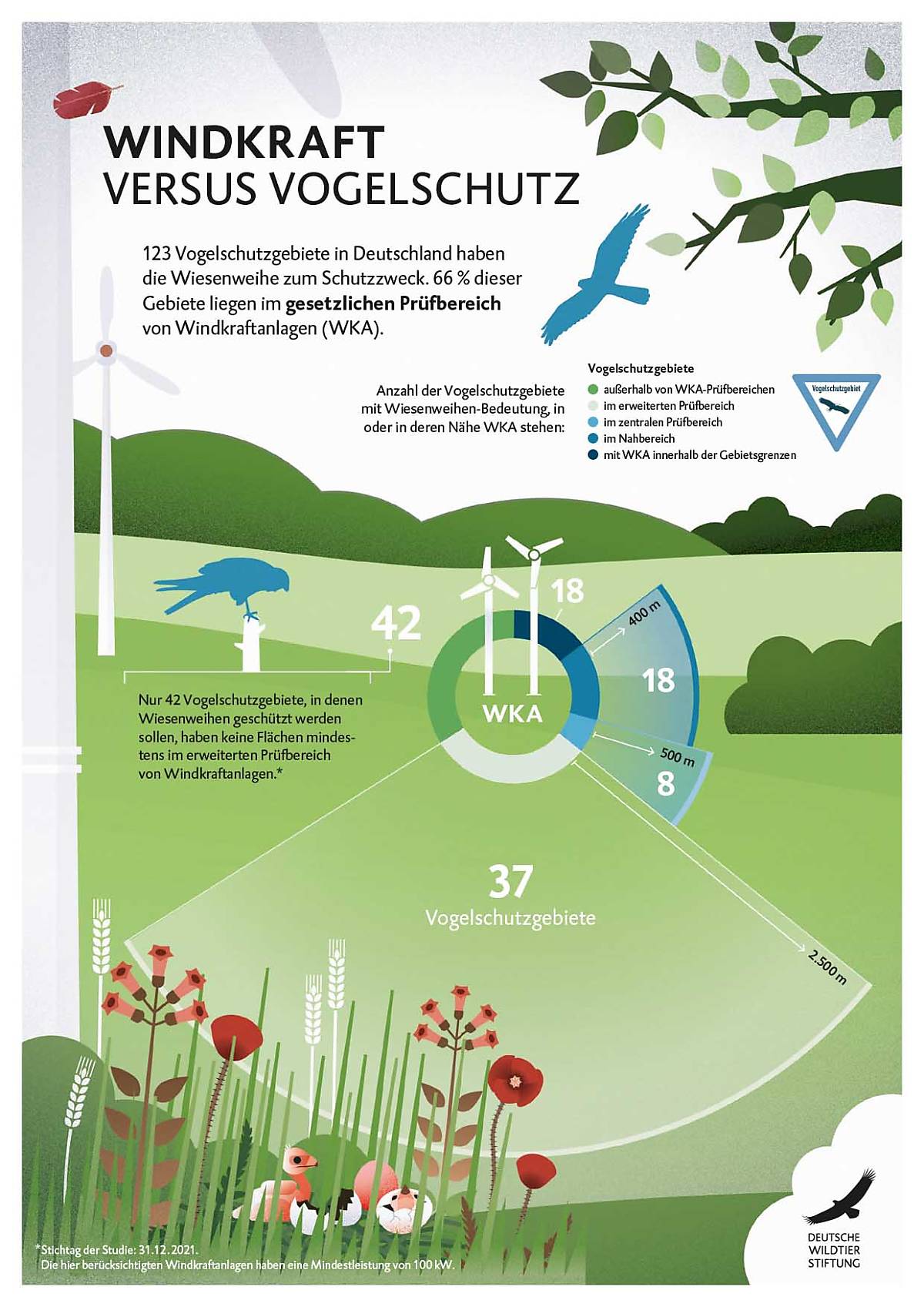 wkavsspa_infografik_wiesenweihe_2025