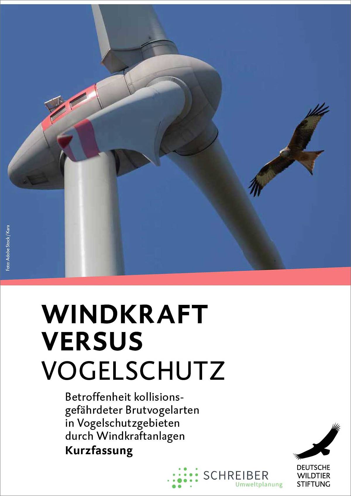 2024_09_schreiber-studie_kurzfassung_cover-mit-rahmen