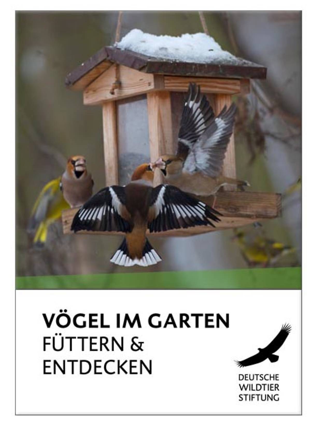 cover-hochkant-voegel-im-garten-fuettern-und-entdecken