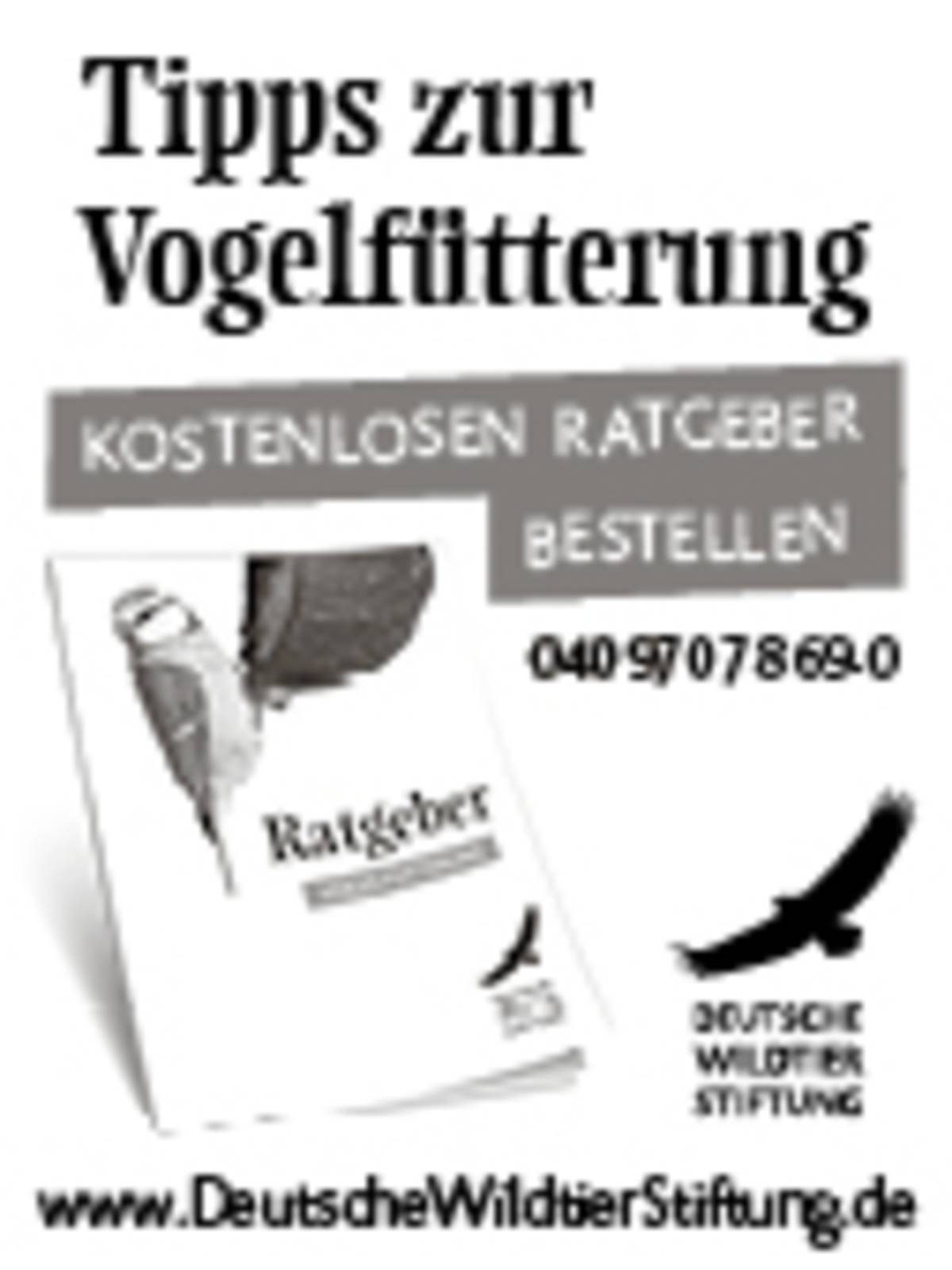 freianzeigenmotiv-ratgeber-vogelfuetterung-schwarz-weiss_2022_freianzeigen_ratgeber_vogelfuetterung_45x60_sw