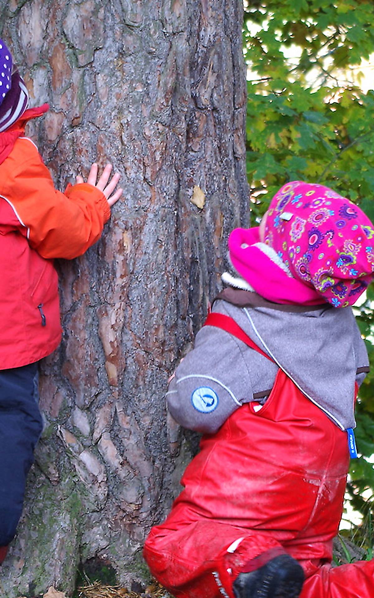 patenkindergarten-breitenbach-kinder-am-baum
