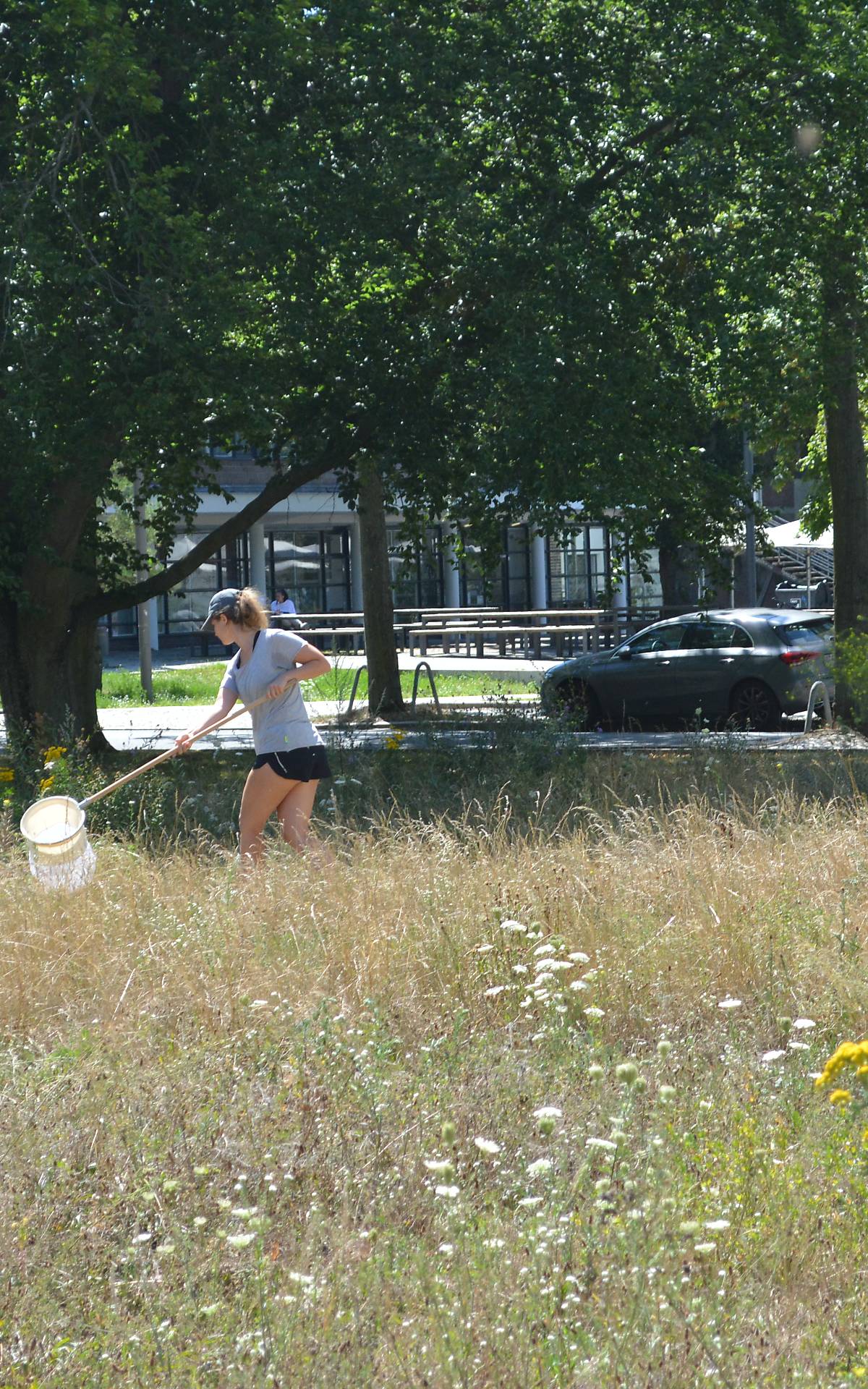 Anja Proske (Deutsche Wildtier Stiftung) bei Kartierungsarbeiten auf einer der Campus-Versuchsflächen in Berlin-Dahlem. Foto: Privat