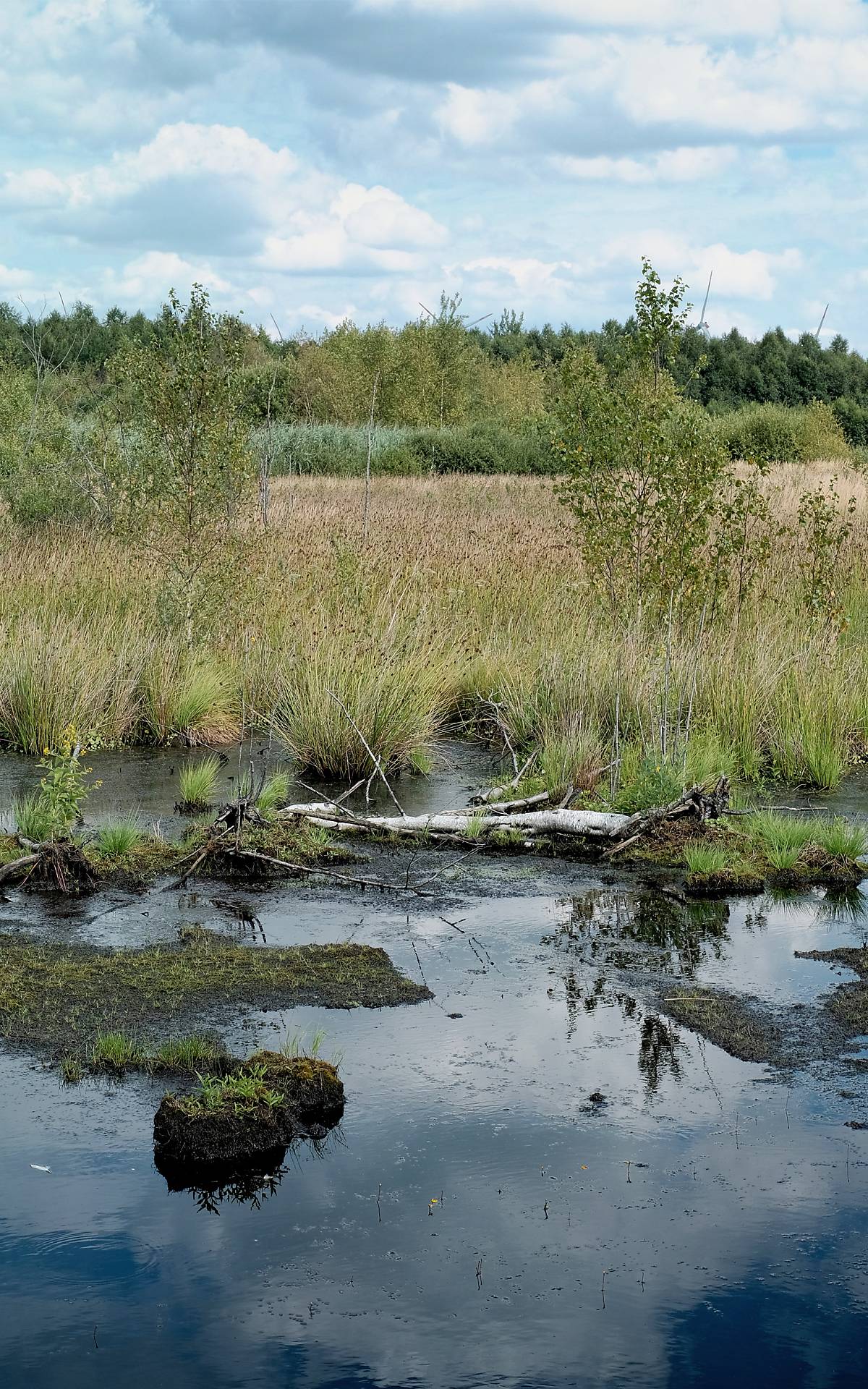 Wildnisgebiete