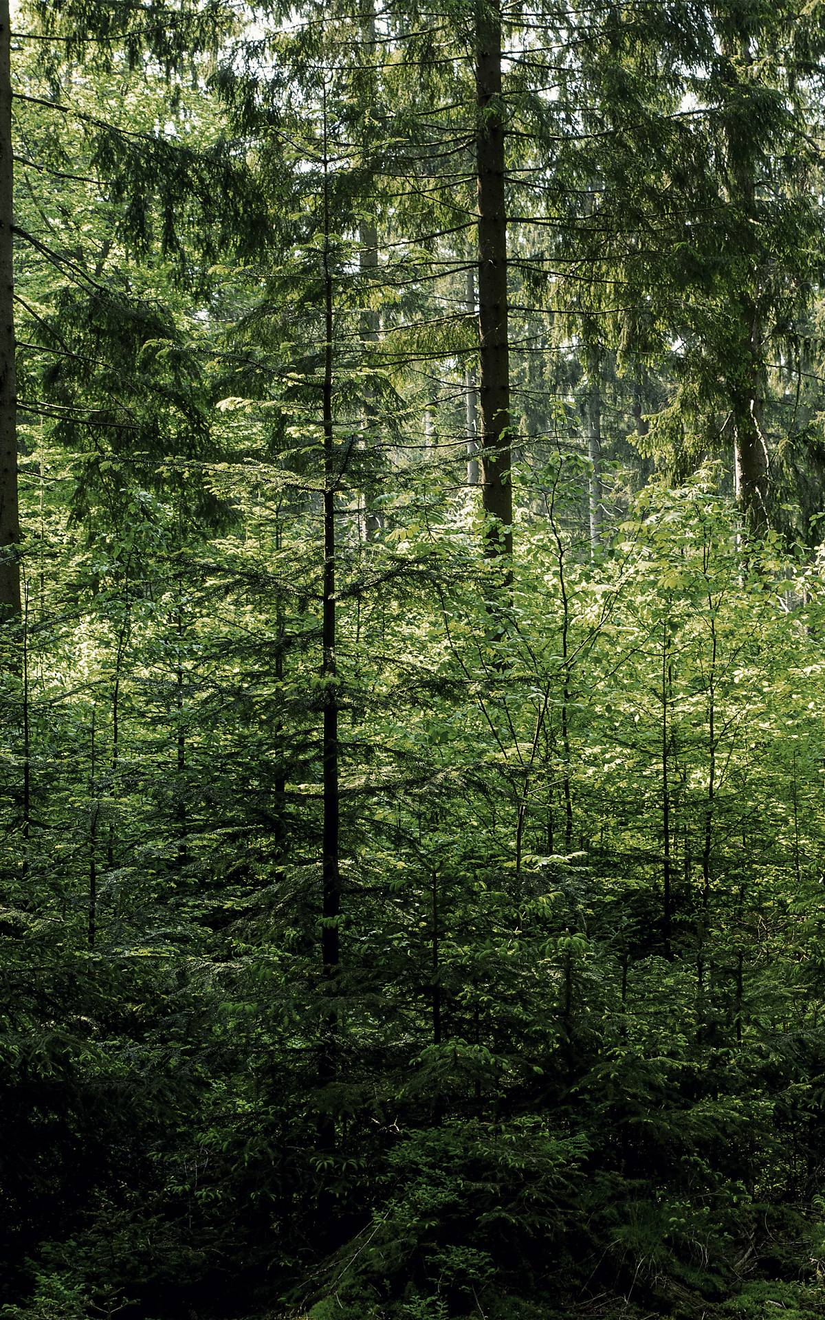 teaser-2-unser-flaecheneigentum