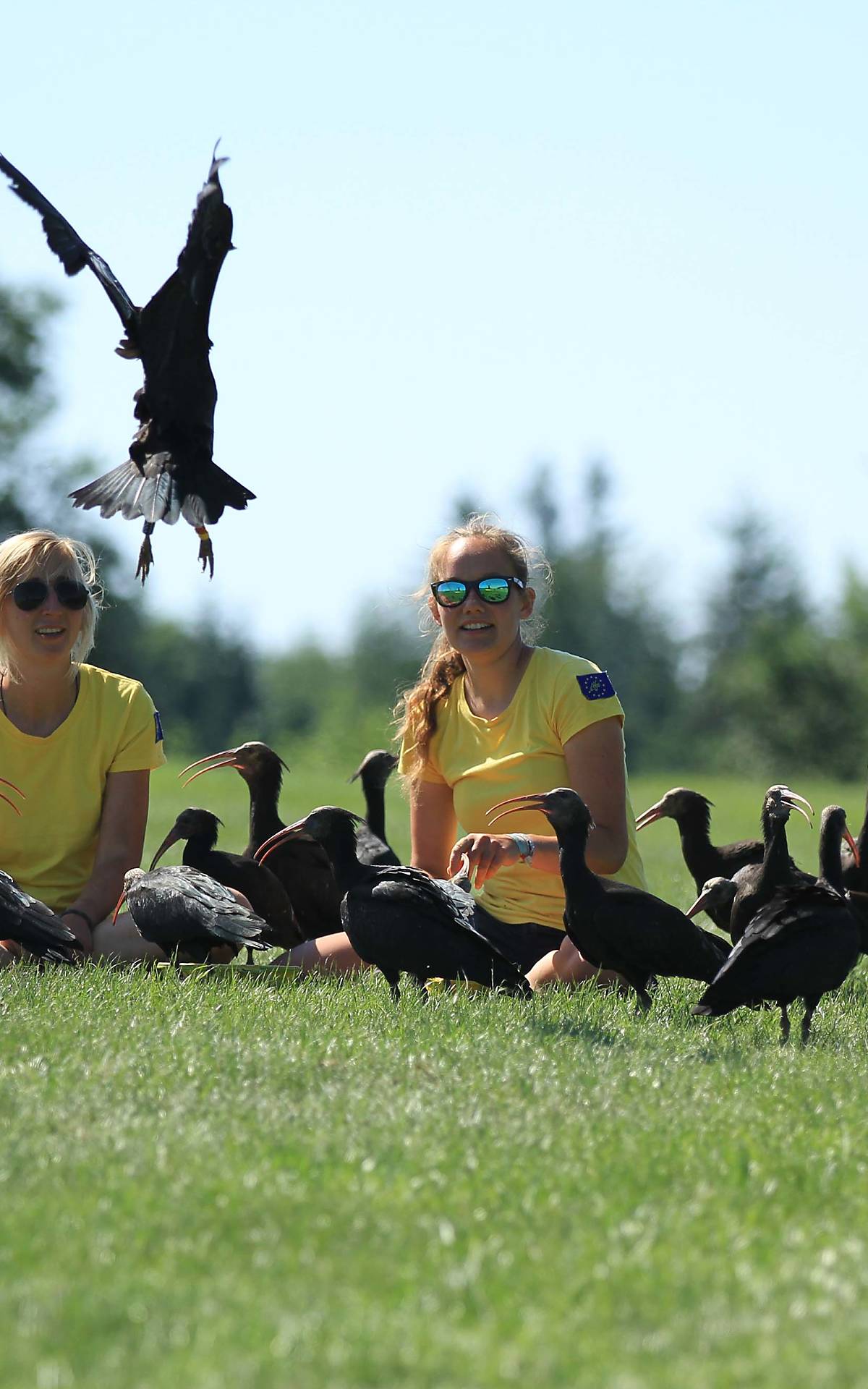 Foto: Waldrappteam Conservation & Research/Schönbrunner Tiergarten