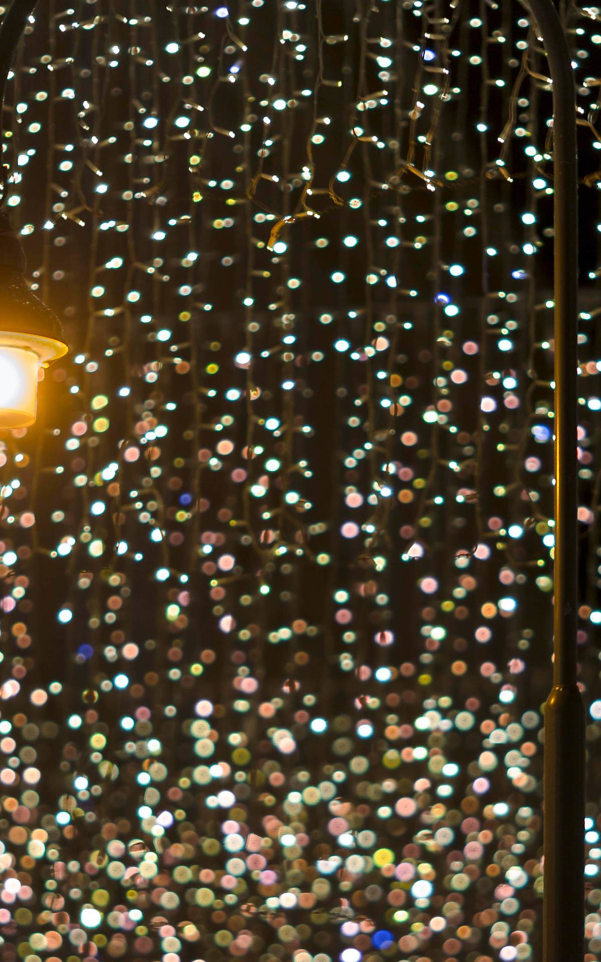 Laterne mit Weihnachtsbeleuchtung, Kohlmarkt, Wien Foto: imageBROKER.com / Günter Grüner