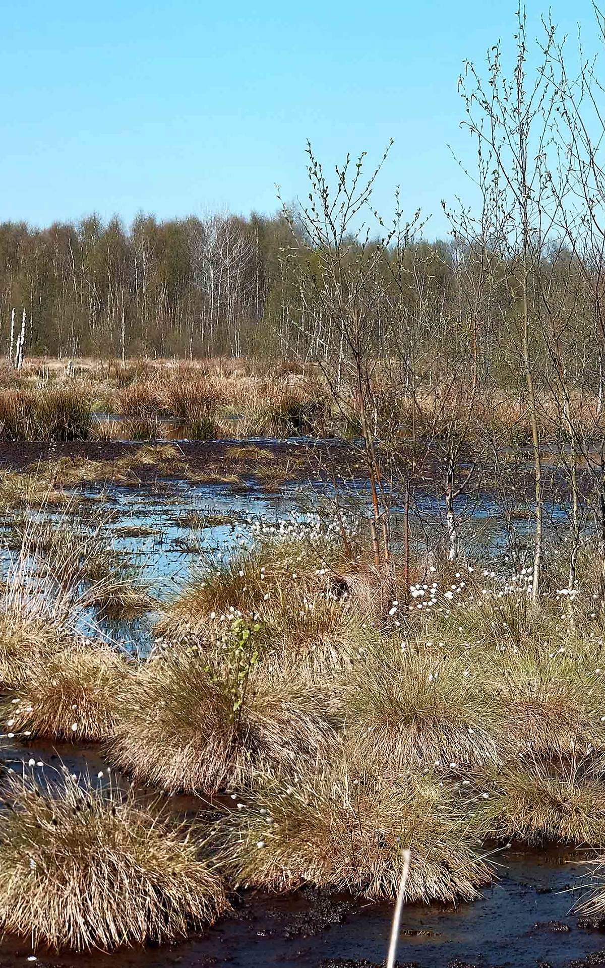 header-aschhorner-moor-besuch_04-2022