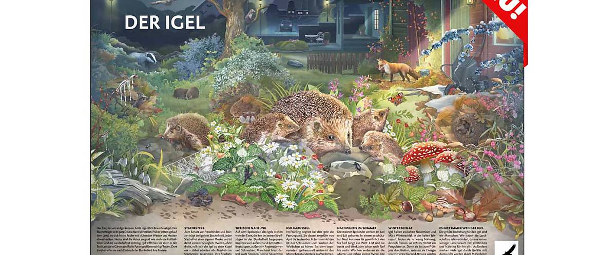 Zu unseren Publikationen