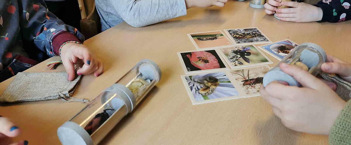 Naturbildungskoffer im Einsatz