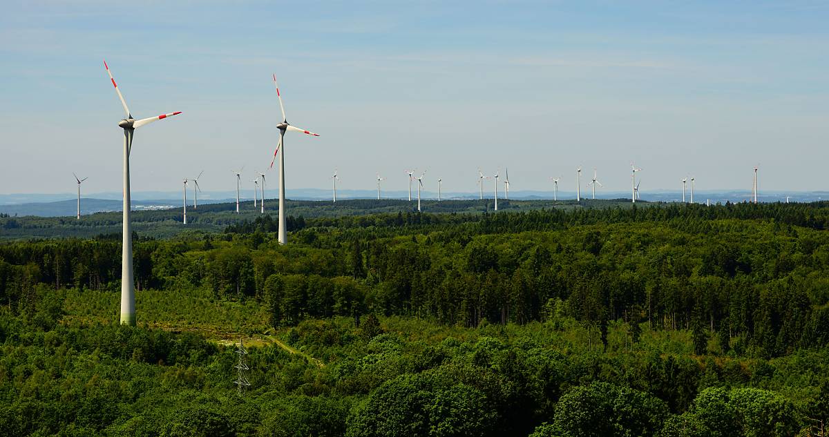 Windenergieanlagen im Lebensraum Wald