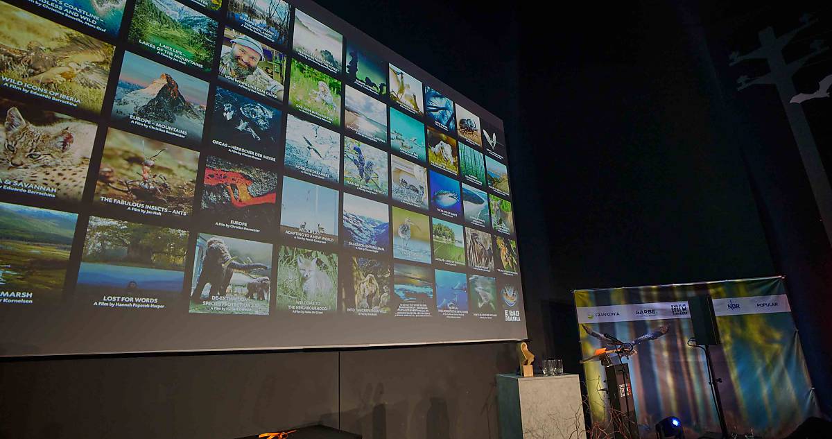 Botschaft der Wildtiere: Naturfilmkino und Filmpreise