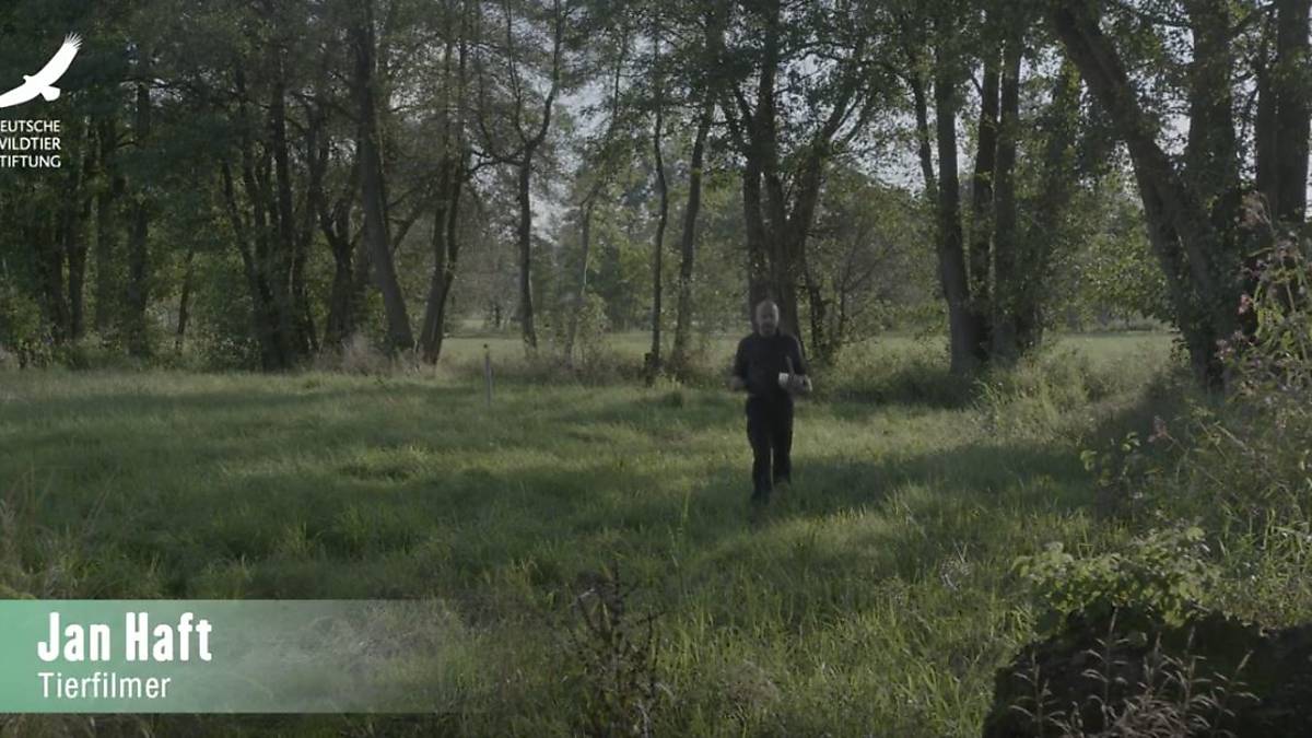 jan-haft-folge-8