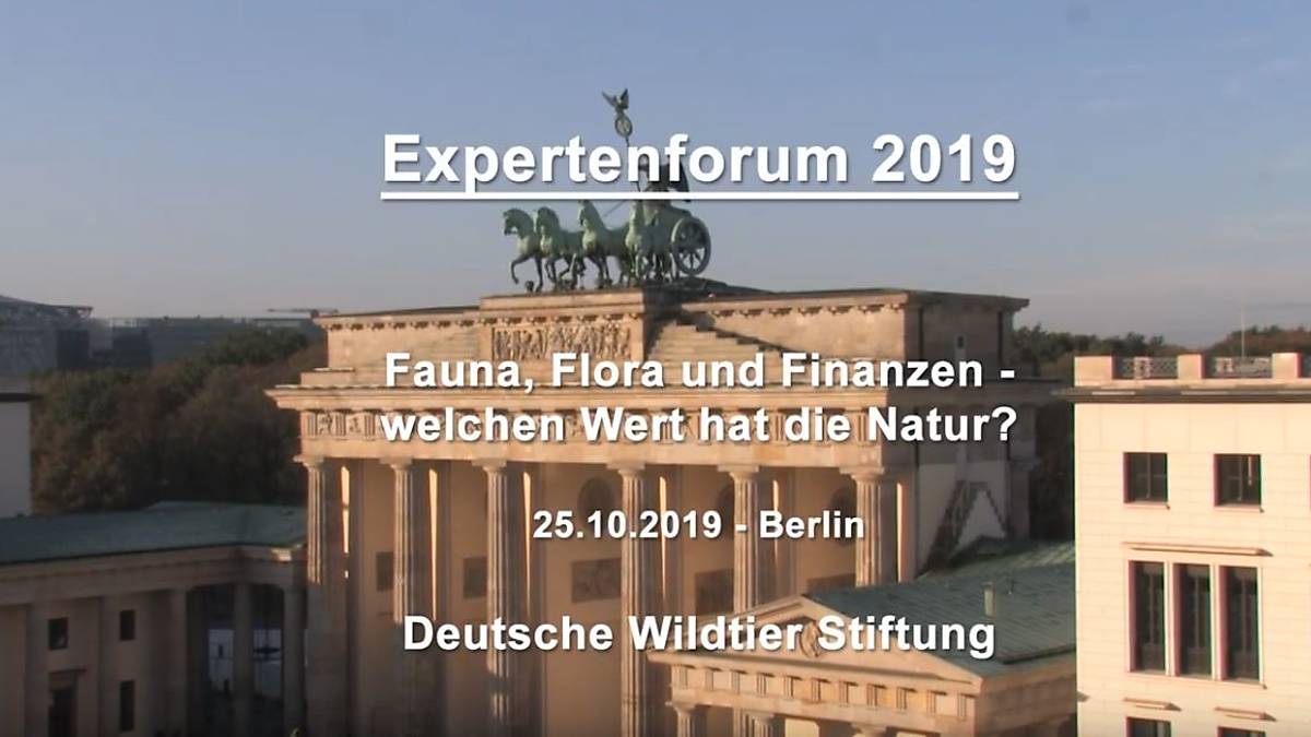 expertenforum-2019