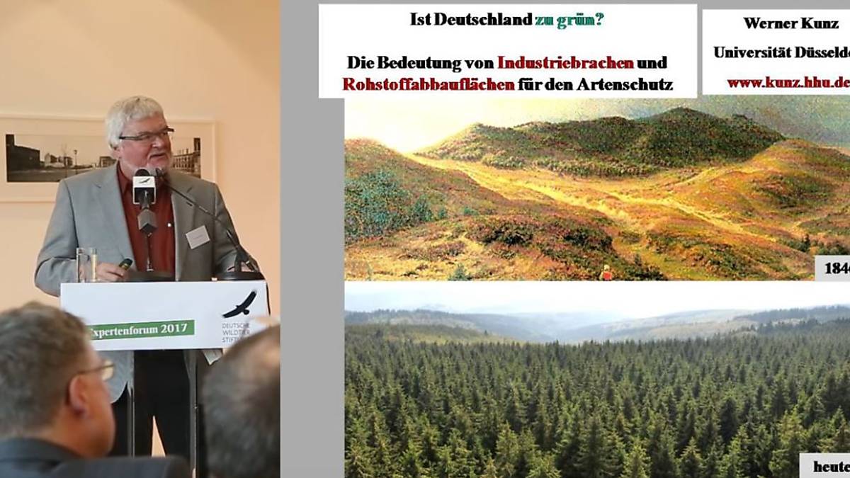deutschland-gruen